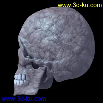 3D打印模型头盖骨的图片
