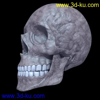 3D打印模型头盖骨的图片