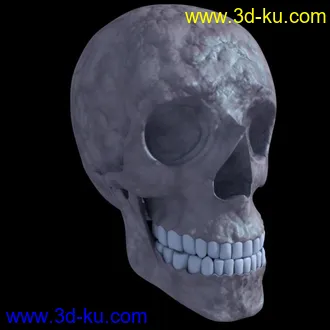 3D打印模型头盖骨的图片