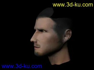 3D打印模型贝克汉姆头像的图片