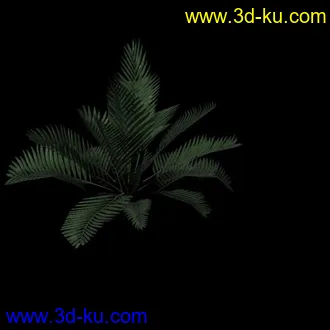 3D打印模型简模  植物的图片