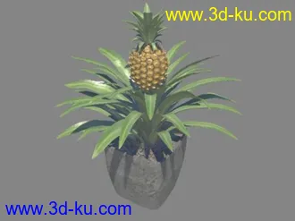 3D打印模型高精细菠萝盆栽（含材质贴图，通用obj格式）的图片