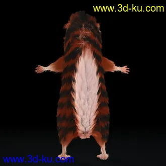 3D打印模型松鼠（fur）的图片