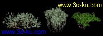 3D打印模型一组灌木的图片