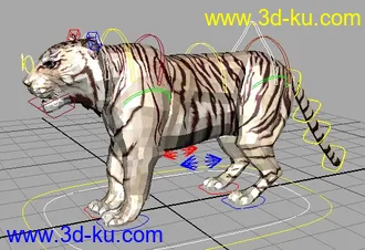3D打印模型发一个老虎绑定，练练四足的图片