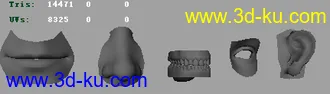 3D打印模型人五官参考的图片