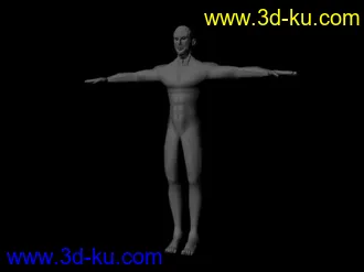 3D打印模型标准人体的图片