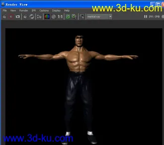 3D打印模型李小龙真人髙模【再现功夫神话！】的图片