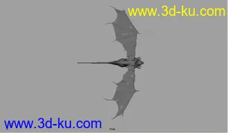 3D打印模型龙的图片