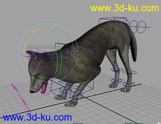 3D打印模型绑定好的狼的图片