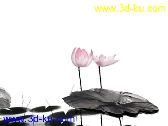 3D打印模型水墨 荷花 鱼 有材质 动画的图片