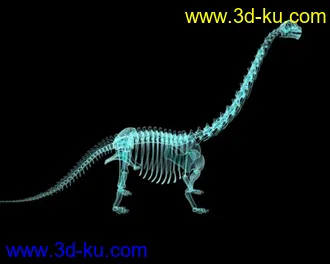 3D打印模型恐龙骨骼+X光材质的图片