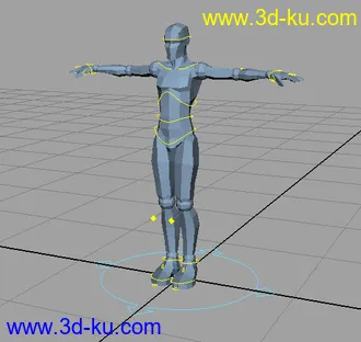 一个简单的模型……适合拿来练动画的图片