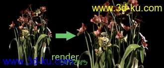 3D打印模型花的图片