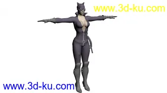 3D打印模型CatWoman的图片
