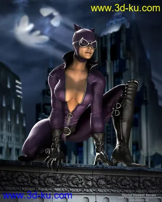 3D打印模型CatWoman的图片