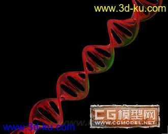 3D打印模型DNA结构的图片