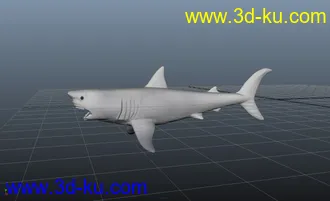 3D打印模型鲨鱼 精模的图片