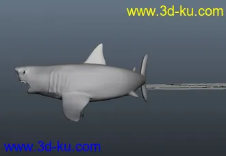 3D打印模型鲨鱼 精模的图片