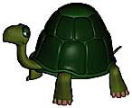 一个乌龟模型的图片1