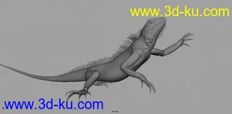 3D打印模型精摸蜥蜴的图片