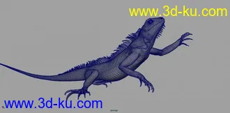 3D打印模型精摸蜥蜴的图片