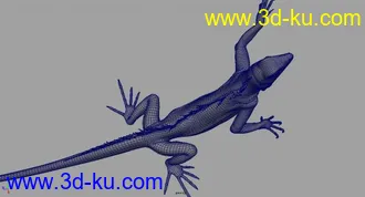 3D打印模型精摸蜥蜴的图片