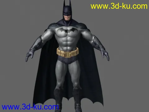 蝙蝠侠模型的图片2