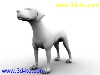 3D打印模型金毛（又是仅此一包，省积分，吼吼）的图片