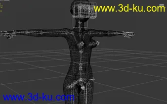 3D打印模型人工學園 男女MODEL的图片