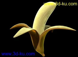 3D打印模型香蕉皮的图片