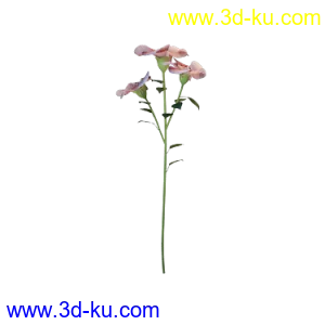 3D打印模型花朵的图片