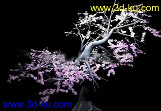 桃花 桃树 模型。的图片