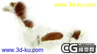 3D打印模型精致的精致的狗狗的图片