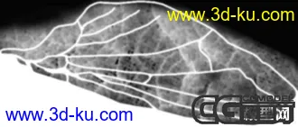 3D打印模型精致的小虫的图片