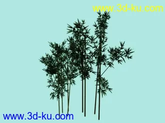 3D打印模型好竹子的图片