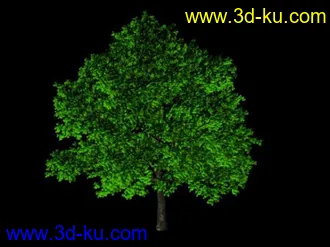 3D打印模型maya  TREE   高清樹模   大家來搶啊的图片