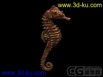 3D打印模型发小海马一只，需要就拿。。。的图片