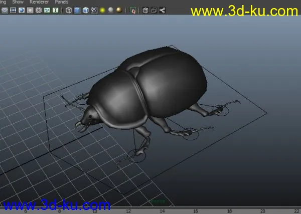 甲虫绑定模型的图片1