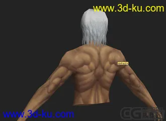 3D打印模型自己做的半身,肌肉贴图画了很久,还行,大家多顶顶的图片