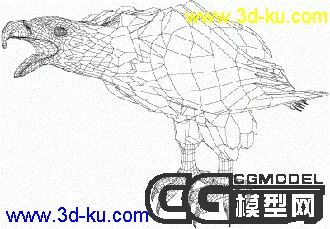 6隻老鷹模型的图片