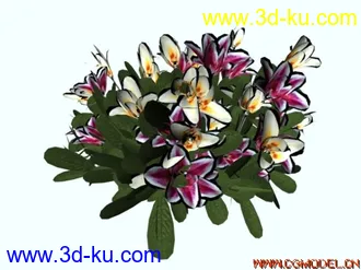 3D打印模型花的图片