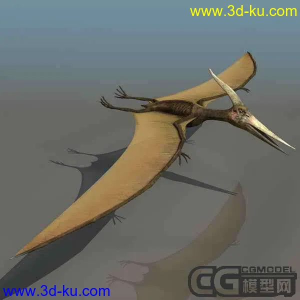 PTERANO 翼龙模型的图片1