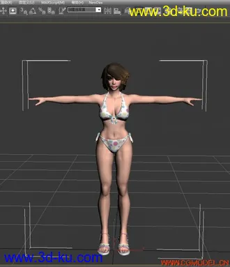 3D打印模型铁拳游戏角色Tekken_6 Reiko_Bikini的图片
