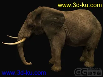 3D打印模型大象一个的图片