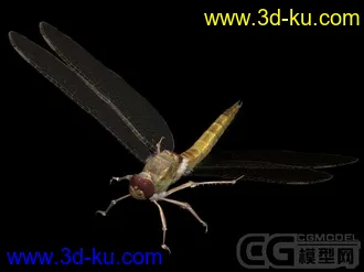 3D打印模型再发个蜻蜓吧的图片