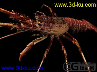 3D打印模型三只大虾的图片