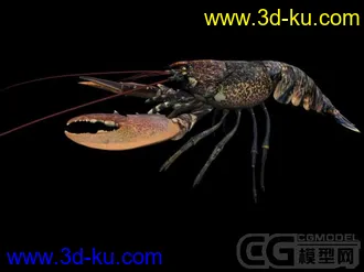 3D打印模型三只大虾的图片