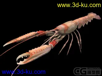 3D打印模型三只大虾的图片