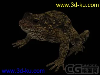 3D打印模型补发 蛤蟆的图片